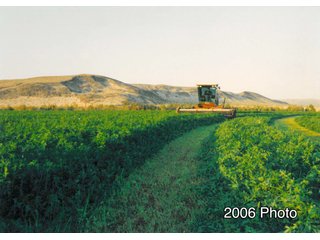 Historic Photo - 640+/- Acre Land and Associated Water Production Rights Auction