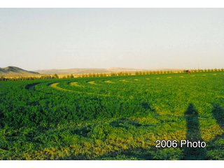 Historic Photo - 640+/- Acre Land and Associated Water Production Rights Auction