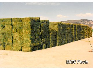 Historic Photo - 640+/- Acre Land and Associated Water Production Rights Auction