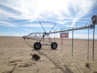 Property photo 7 - 640+/- Acre Land and Associated Water Production Rights Auction