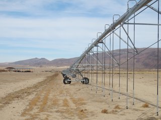 Property photo 6 - 640+/- Acre Land and Associated Water Production Rights Auction