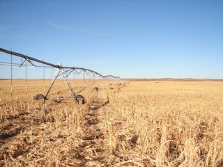 Property photo 89 - Kansas Land - 1,750 +/- Acres Offered in 18 Land Tracts & 2 Mineral Tracts