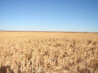 Property photo 59 - Kansas Land - 1,750 +/- Acres Offered in 18 Land Tracts & 2 Mineral Tracts