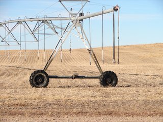 Property photo 82 - Kansas Land - 1,750 +/- Acres Offered in 18 Land Tracts & 2 Mineral Tracts