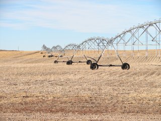 Property photo 10 - Kansas Land - 1,750 +/- Acres Offered in 18 Land Tracts & 2 Mineral Tracts