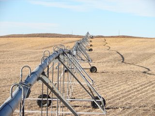 Property photo 117 - Kansas Land - 1,750 +/- Acres Offered in 18 Land Tracts & 2 Mineral Tracts