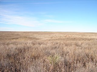 Property photo 107 - Kansas Land - 1,750 +/- Acres Offered in 18 Land Tracts & 2 Mineral Tracts