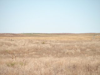 Property photo 65 - Kansas Land - 1,750 +/- Acres Offered in 18 Land Tracts & 2 Mineral Tracts