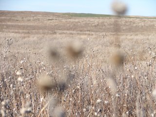 Property photo 19 - Kansas Land - 1,750 +/- Acres Offered in 18 Land Tracts & 2 Mineral Tracts