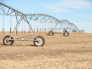 Property photo 4 - Kansas Land - 1,750 +/- Acres Offered in 18 Land Tracts & 2 Mineral Tracts
