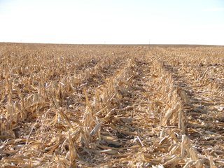 Property photo 108 - Kansas Land - 1,750 +/- Acres Offered in 18 Land Tracts & 2 Mineral Tracts