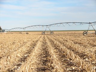 Property photo 31 - Kansas Land - 1,750 +/- Acres Offered in 18 Land Tracts & 2 Mineral Tracts