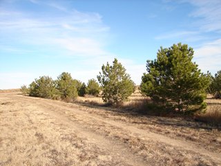 Property photo 42 - Kansas Land - 1,750 +/- Acres Offered in 18 Land Tracts & 2 Mineral Tracts