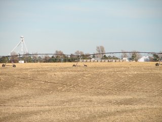 Property photo 12 - Kansas Land - 1,750 +/- Acres Offered in 18 Land Tracts & 2 Mineral Tracts