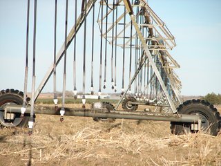 Property photo 95 - Kansas Land - 1,750 +/- Acres Offered in 18 Land Tracts & 2 Mineral Tracts