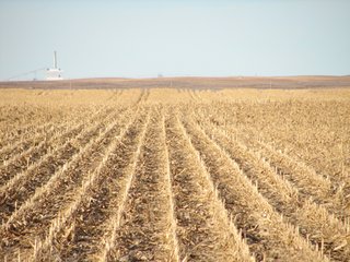 Property photo 105 - Kansas Land - 1,750 +/- Acres Offered in 18 Land Tracts & 2 Mineral Tracts