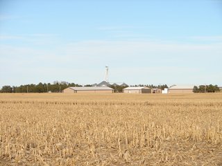 Property photo 91 - Kansas Land - 1,750 +/- Acres Offered in 18 Land Tracts & 2 Mineral Tracts