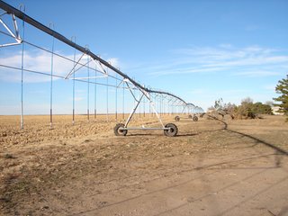 Property photo 9 - Kansas Land - 1,750 +/- Acres Offered in 18 Land Tracts & 2 Mineral Tracts