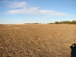 Property photo 29 - Kansas Land - 1,750 +/- Acres Offered in 18 Land Tracts & 2 Mineral Tracts