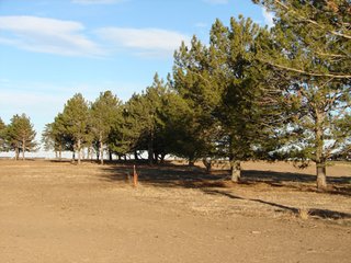 Property photo 35 - Kansas Land - 1,750 +/- Acres Offered in 18 Land Tracts & 2 Mineral Tracts