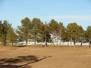 Property photo 61 - Kansas Land - 1,750 +/- Acres Offered in 18 Land Tracts & 2 Mineral Tracts