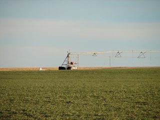 Property photo 99 - Kansas Land - 1,750 +/- Acres Offered in 18 Land Tracts & 2 Mineral Tracts
