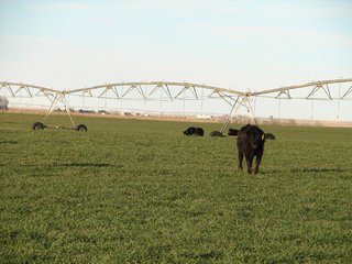 Property photo 94 - Kansas Land - 1,750 +/- Acres Offered in 18 Land Tracts & 2 Mineral Tracts