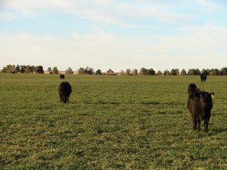 Property photo 58 - Kansas Land - 1,750 +/- Acres Offered in 18 Land Tracts & 2 Mineral Tracts