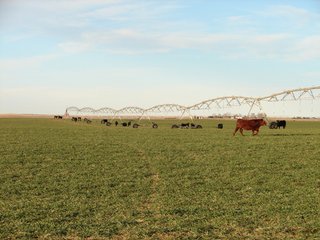 Property photo 54 - Kansas Land - 1,750 +/- Acres Offered in 18 Land Tracts & 2 Mineral Tracts