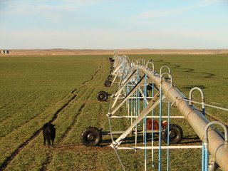 Property photo 110 - Kansas Land - 1,750 +/- Acres Offered in 18 Land Tracts & 2 Mineral Tracts