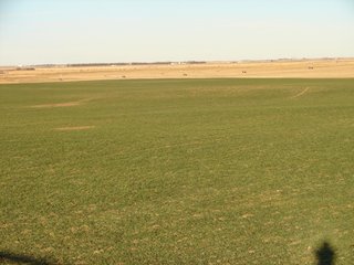 Property photo 45 - Kansas Land - 1,750 +/- Acres Offered in 18 Land Tracts & 2 Mineral Tracts