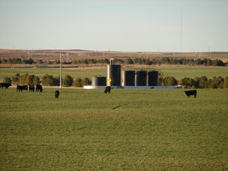 Property photo 122 - Kansas Land - 1,750 +/- Acres Offered in 18 Land Tracts & 2 Mineral Tracts