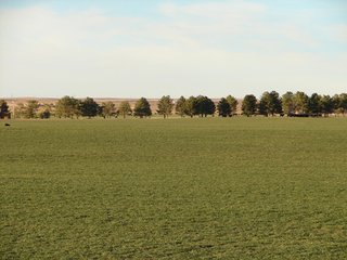 Property photo 102 - Kansas Land - 1,750 +/- Acres Offered in 18 Land Tracts & 2 Mineral Tracts
