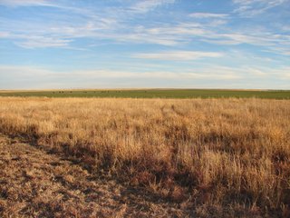 Property photo 64 - Kansas Land - 1,750 +/- Acres Offered in 18 Land Tracts & 2 Mineral Tracts