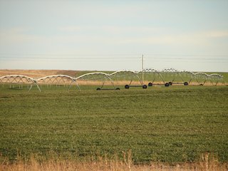 Property photo 127 - Kansas Land - 1,750 +/- Acres Offered in 18 Land Tracts & 2 Mineral Tracts
