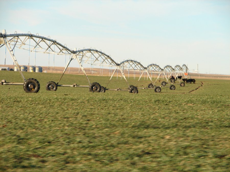 Kansas Land - 1,750 +/- Acres Offered in 18 Land Tracts & 2 Mineral Tracts