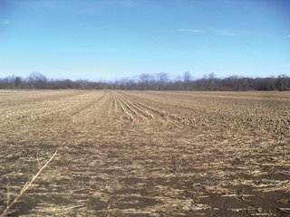 Property photo 5 - 98.5 +/- Acres Offered in 6 Tracts - Ohio Land Auction