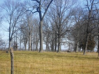 Property photo 4 - 98.5 +/- Acres Offered in 6 Tracts - Ohio Land Auction