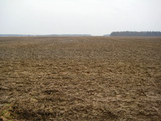 Property photo 2 - 414.5 +/- Acres Offered in 6 Tracts - Prime Indiana Farmland