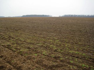 Property photo 14 - 414.5 +/- Acres Offered in 6 Tracts - Prime Indiana Farmland