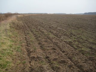 Property photo 12 - 414.5 +/- Acres Offered in 6 Tracts - Prime Indiana Farmland
