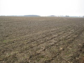 Property photo 19 - 414.5 +/- Acres Offered in 6 Tracts - Prime Indiana Farmland