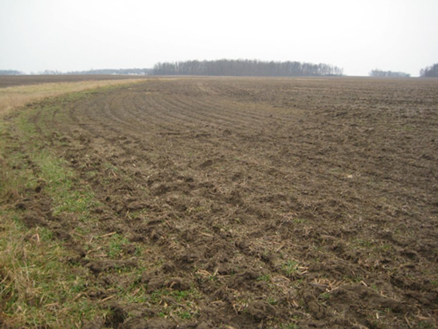 414.5 +/- Acres Offered in 6 Tracts - Prime Indiana Farmland