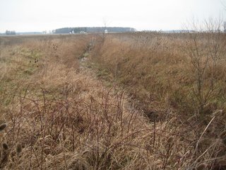 Property photo 10 - 414.5 +/- Acres Offered in 6 Tracts - Prime Indiana Farmland