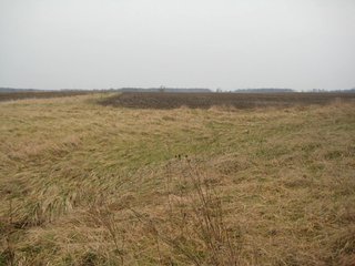 Property photo 11 - 414.5 +/- Acres Offered in 6 Tracts - Prime Indiana Farmland