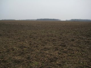 Property photo 21 - 414.5 +/- Acres Offered in 6 Tracts - Prime Indiana Farmland