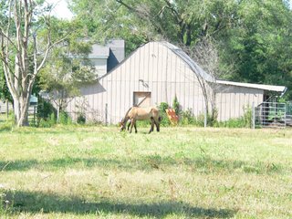 Property photo 6 - Real Estate Auction - Equine Facility, Residences & Industrial Lots Still Available!