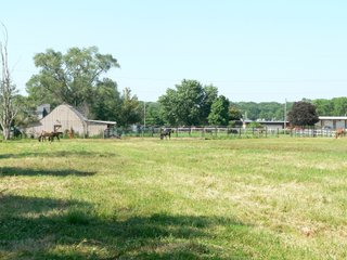Property photo 38 - Real Estate Auction - Equine Facility, Residences & Industrial Lots Still Available!