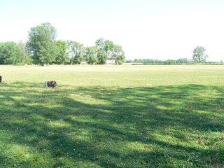 Property photo 43 - Real Estate Auction - Equine Facility, Residences & Industrial Lots Still Available!