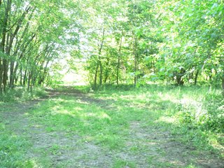 Property photo 5 - Real Estate Auction - Equine Facility, Residences & Industrial Lots Still Available!